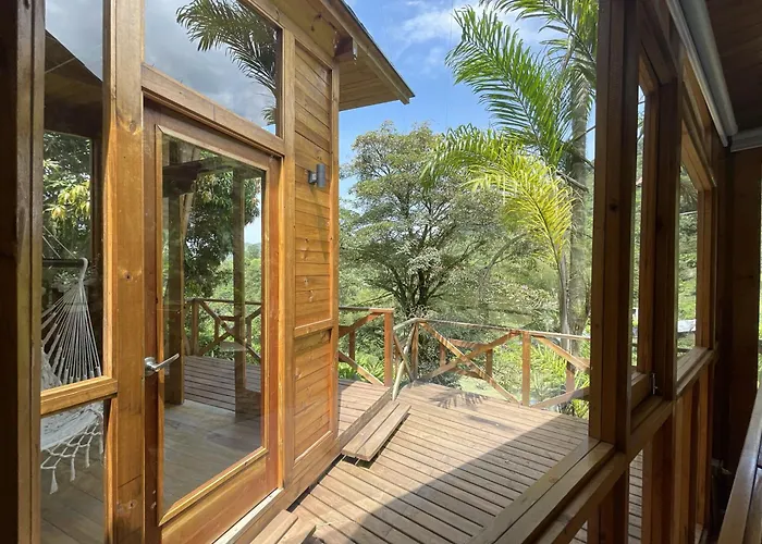 Home Boutique Natural Paradise